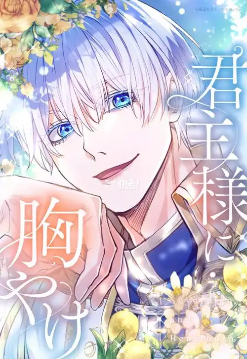 欢喜掌柜 古装喜剧