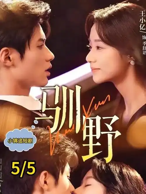 繁花 王家卫剧集